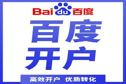 SEM竞价优化策略：成功案例解析